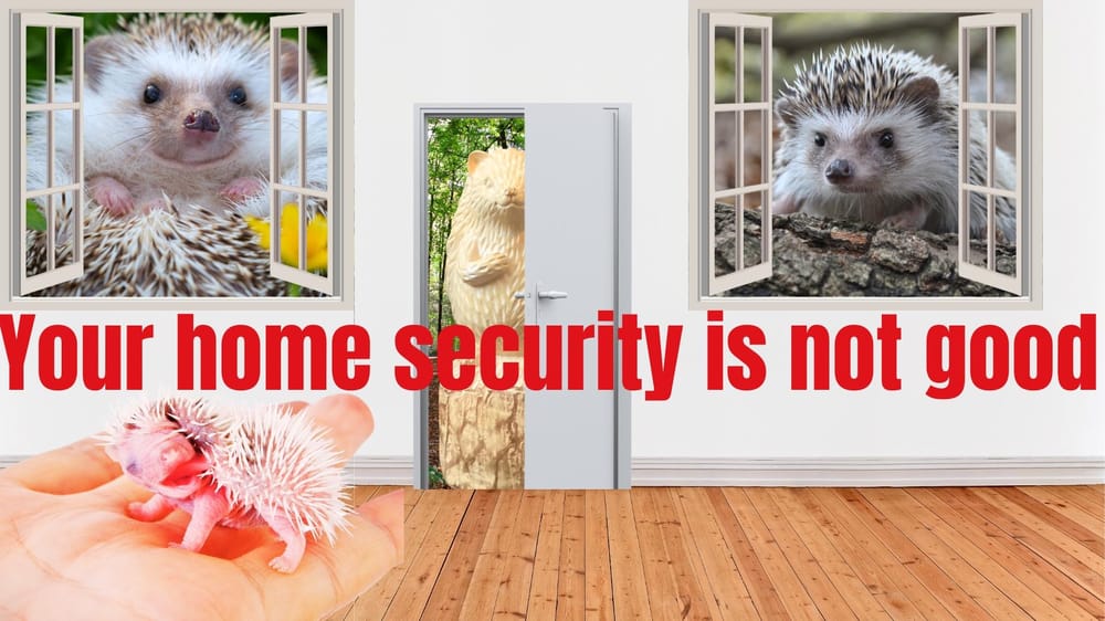 hedgehogs - image 1 - student project