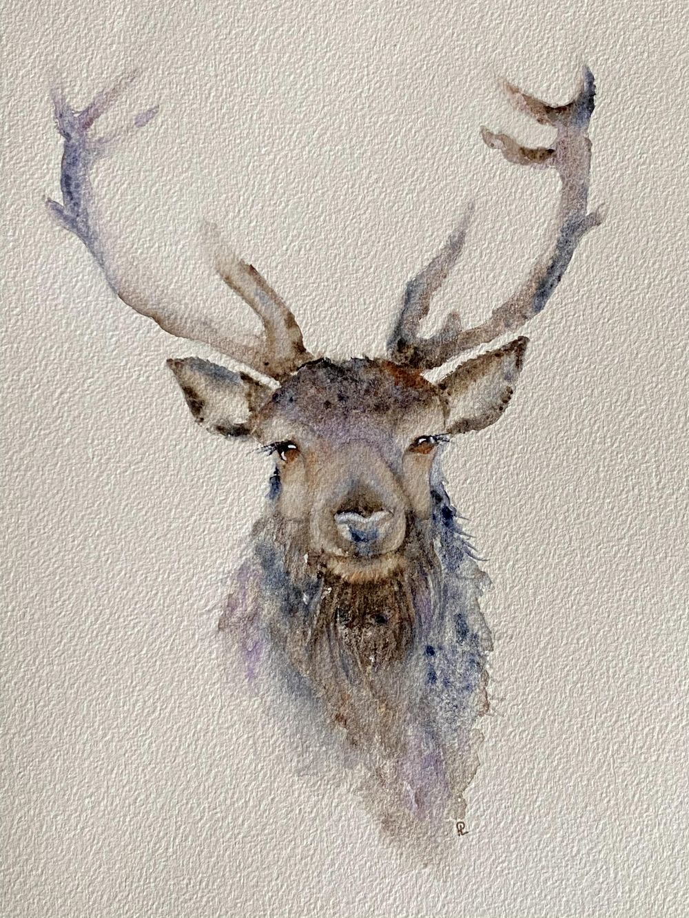 Festive Stag - image 1 - student project