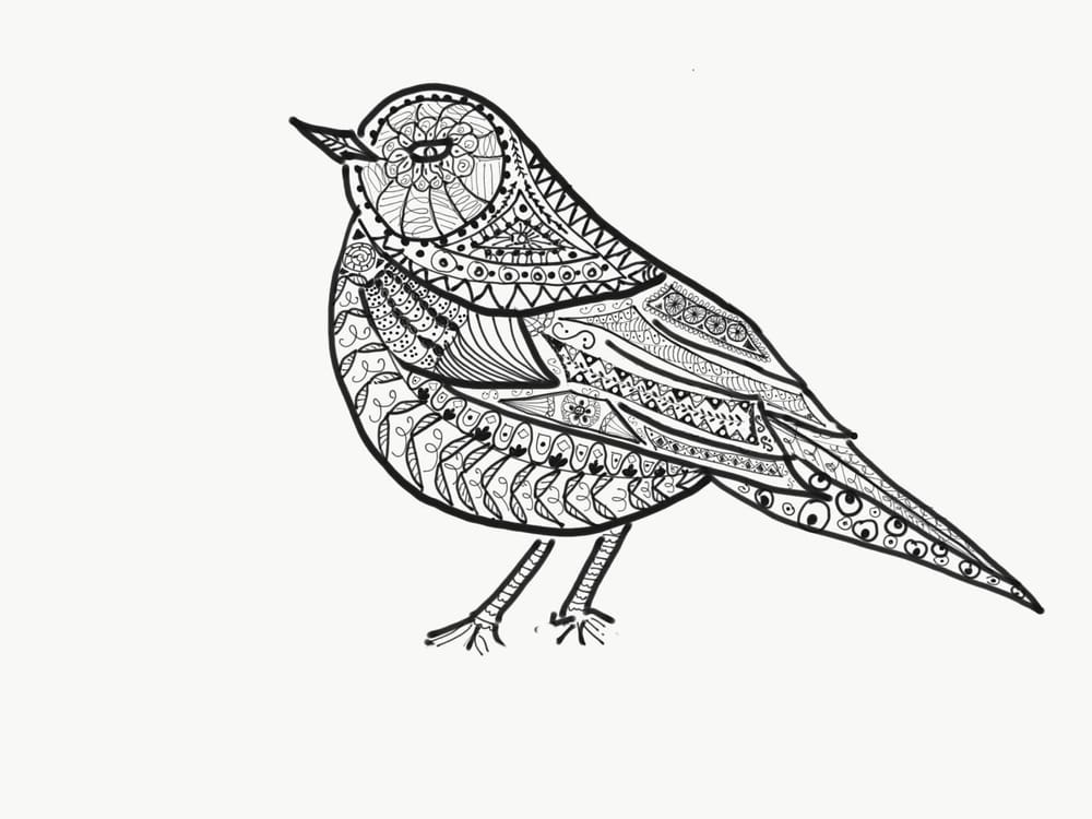 Bird ink illustration - image 1 - student project