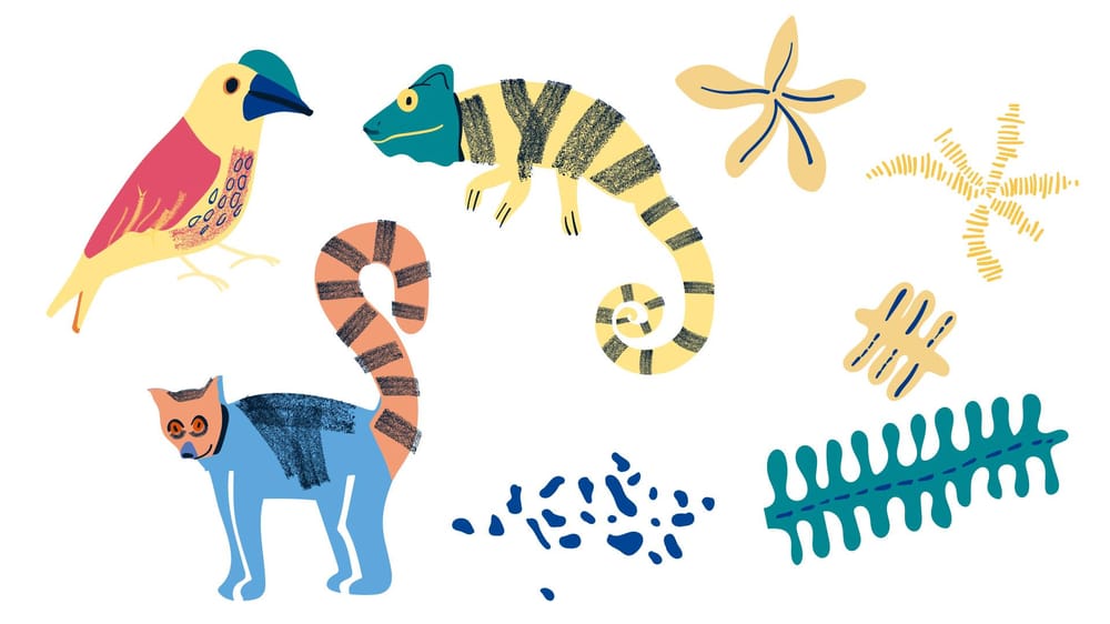 Madagascar Jungle - image 3 - student project