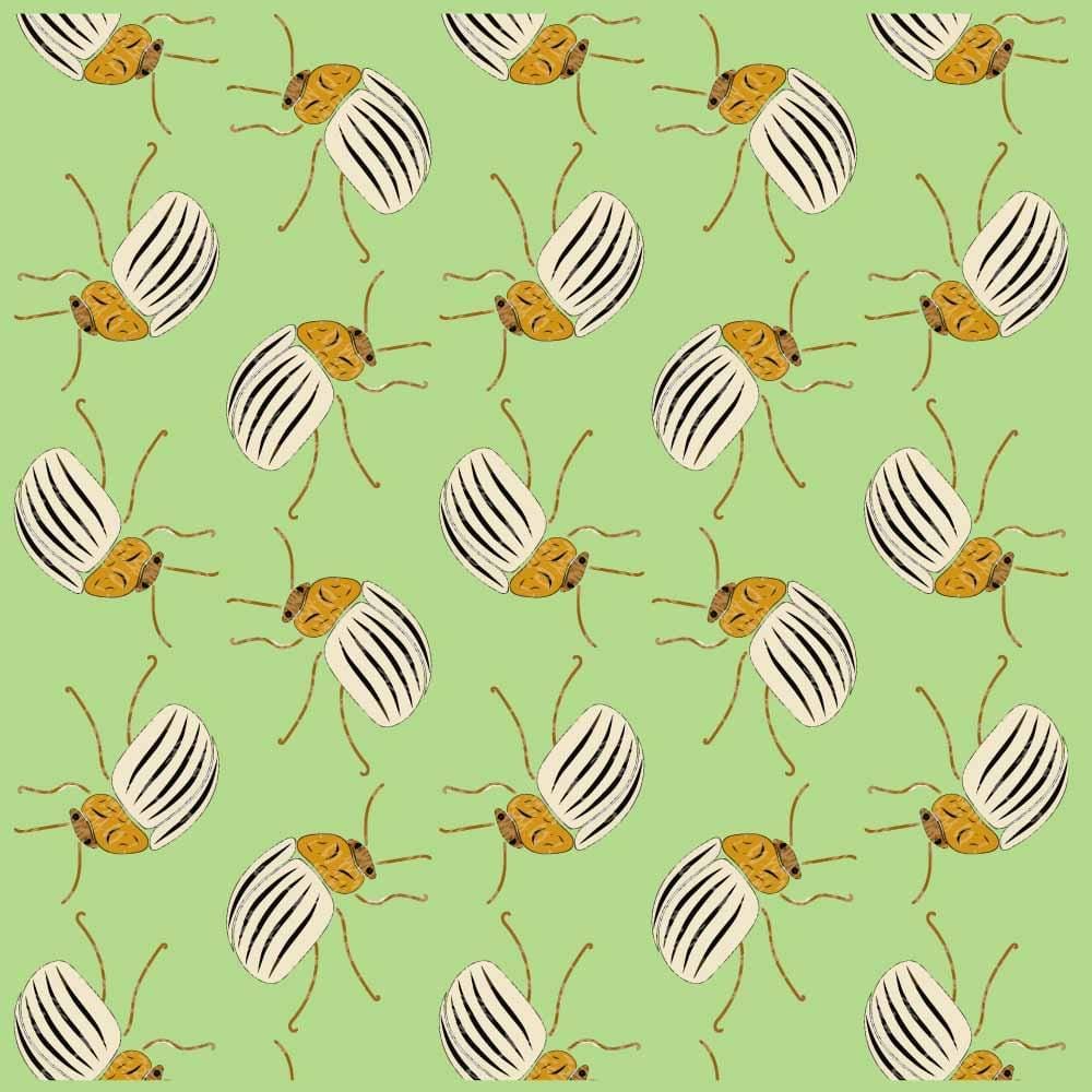 Textured bugs - image 1 - student project