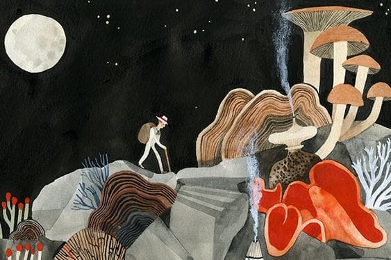 Exploring my illustration influences and style - image 1 - student project