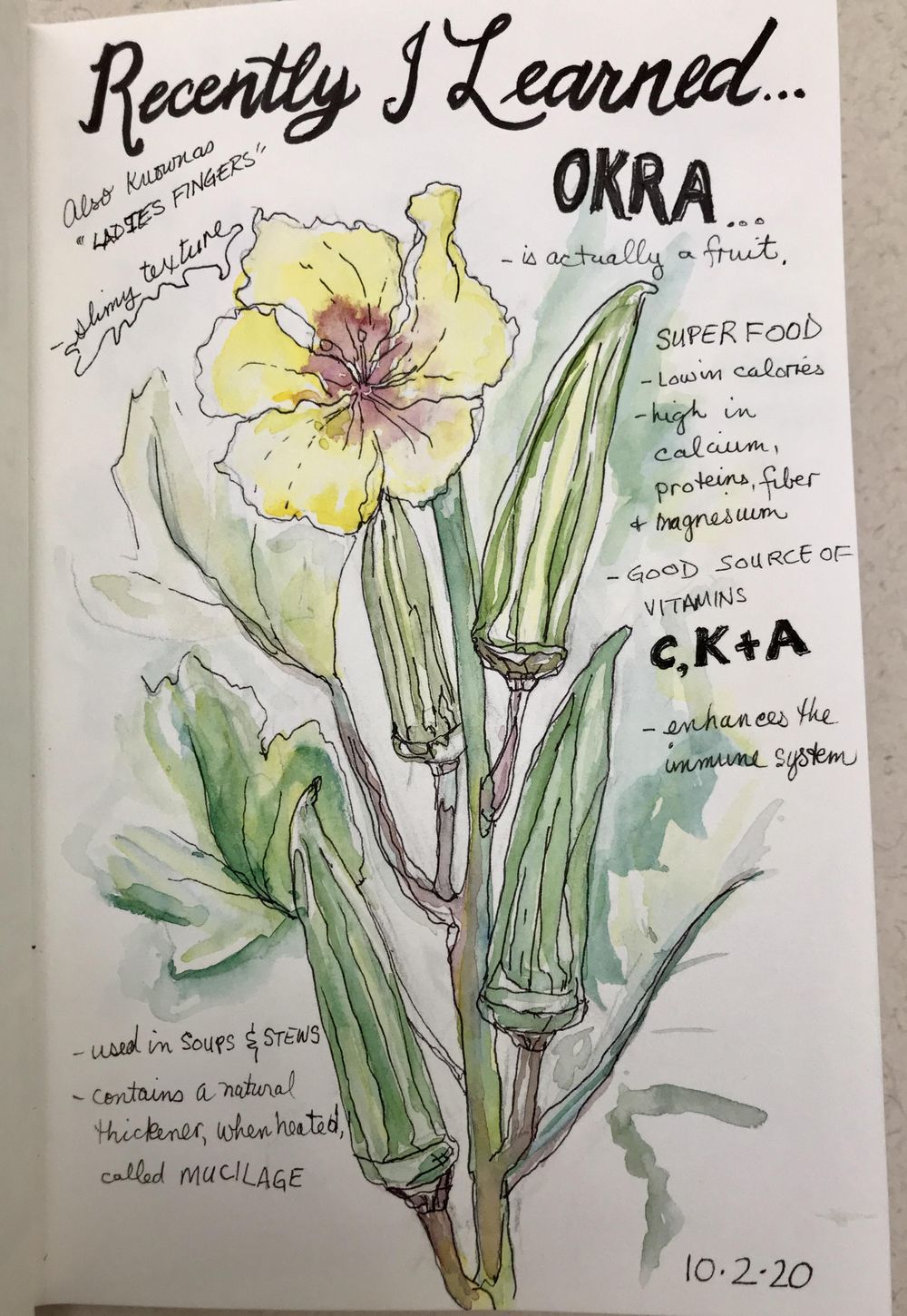 Illustrated Journaling: 14 Days of Prompts - image 7 - student project