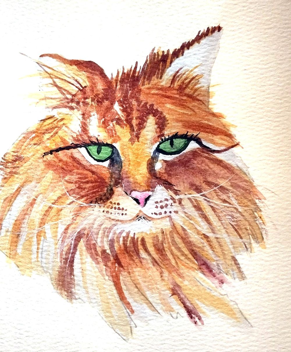 Cats 1 and 3 - image 3 - student project