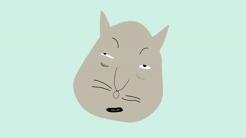 Meow - image 1 - student project