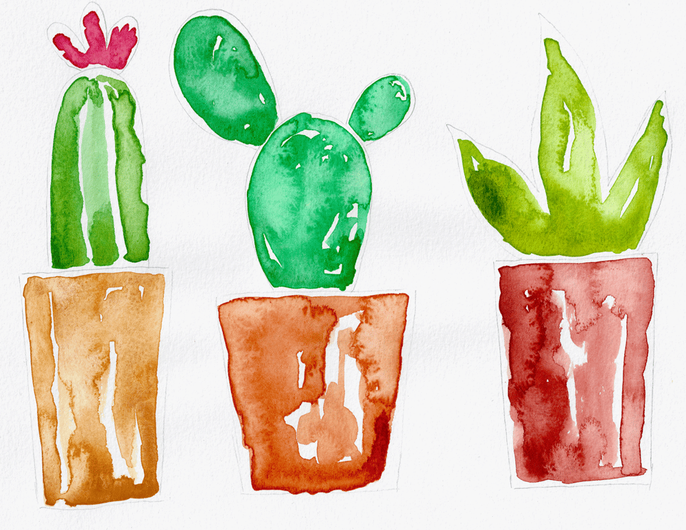 Cacti in Pots - image 6 - student project