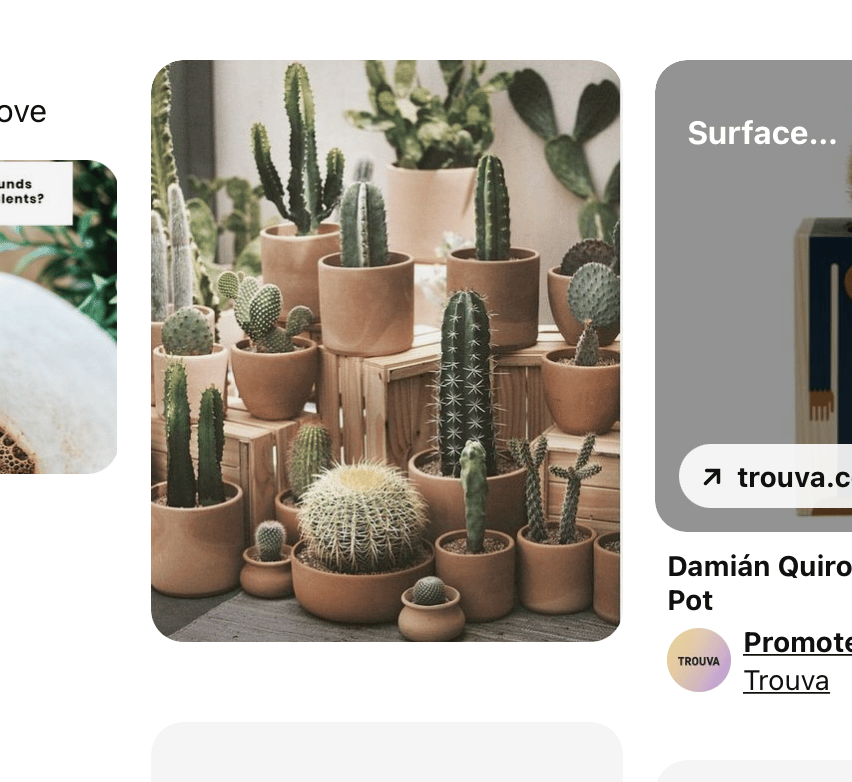 Cacti in Pots - image 3 - student project