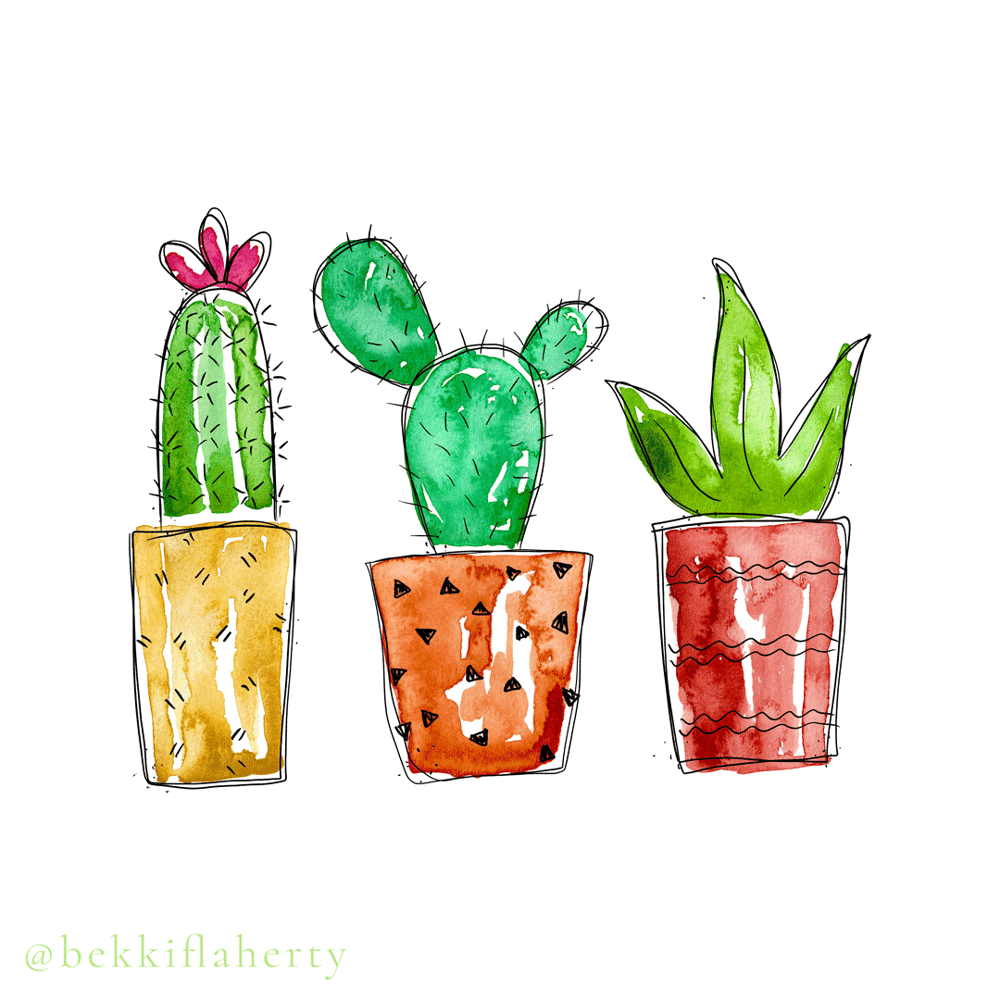 Cacti in Pots - image 8 - student project