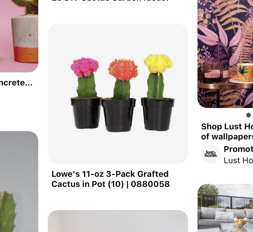 Cacti in Pots - image 2 - student project