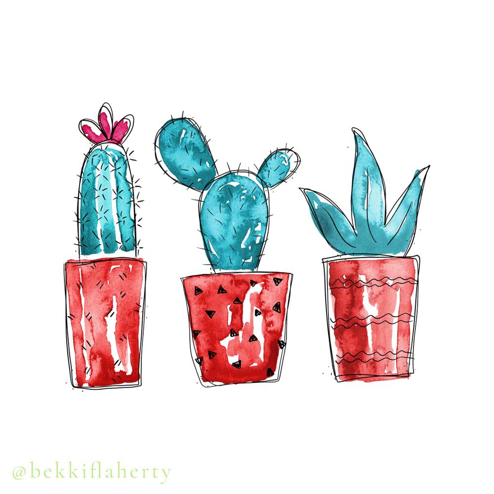 Cacti in Pots - image 9 - student project