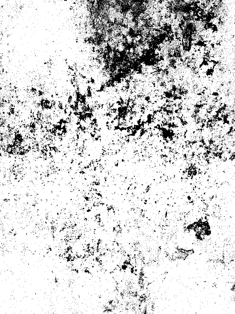 Walls, Ceilings, and a Ruined Paintbrush - image 2 - student project
