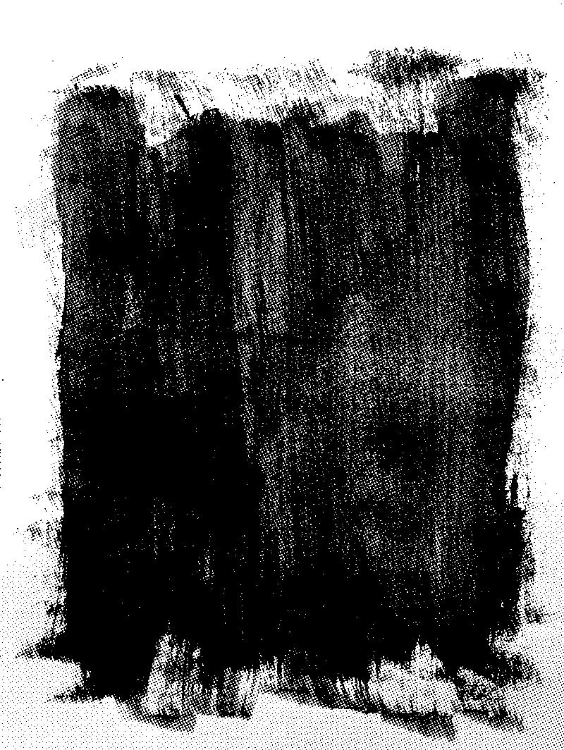 Walls, Ceilings, and a Ruined Paintbrush - image 5 - student project