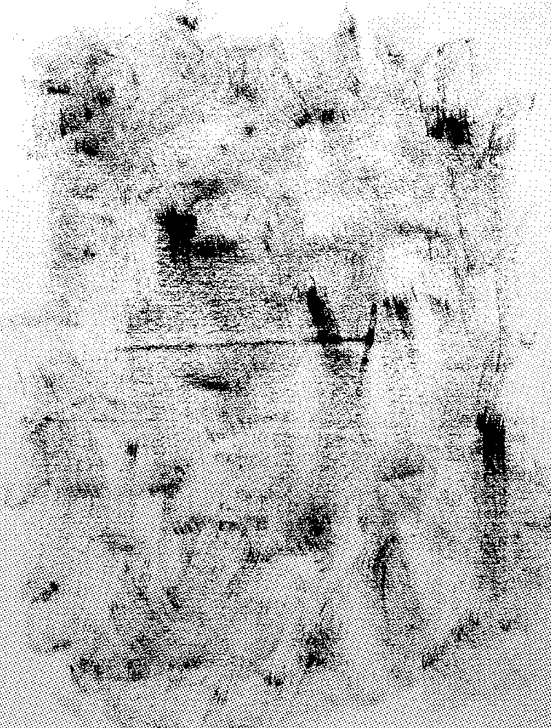 Walls, Ceilings, and a Ruined Paintbrush - image 4 - student project