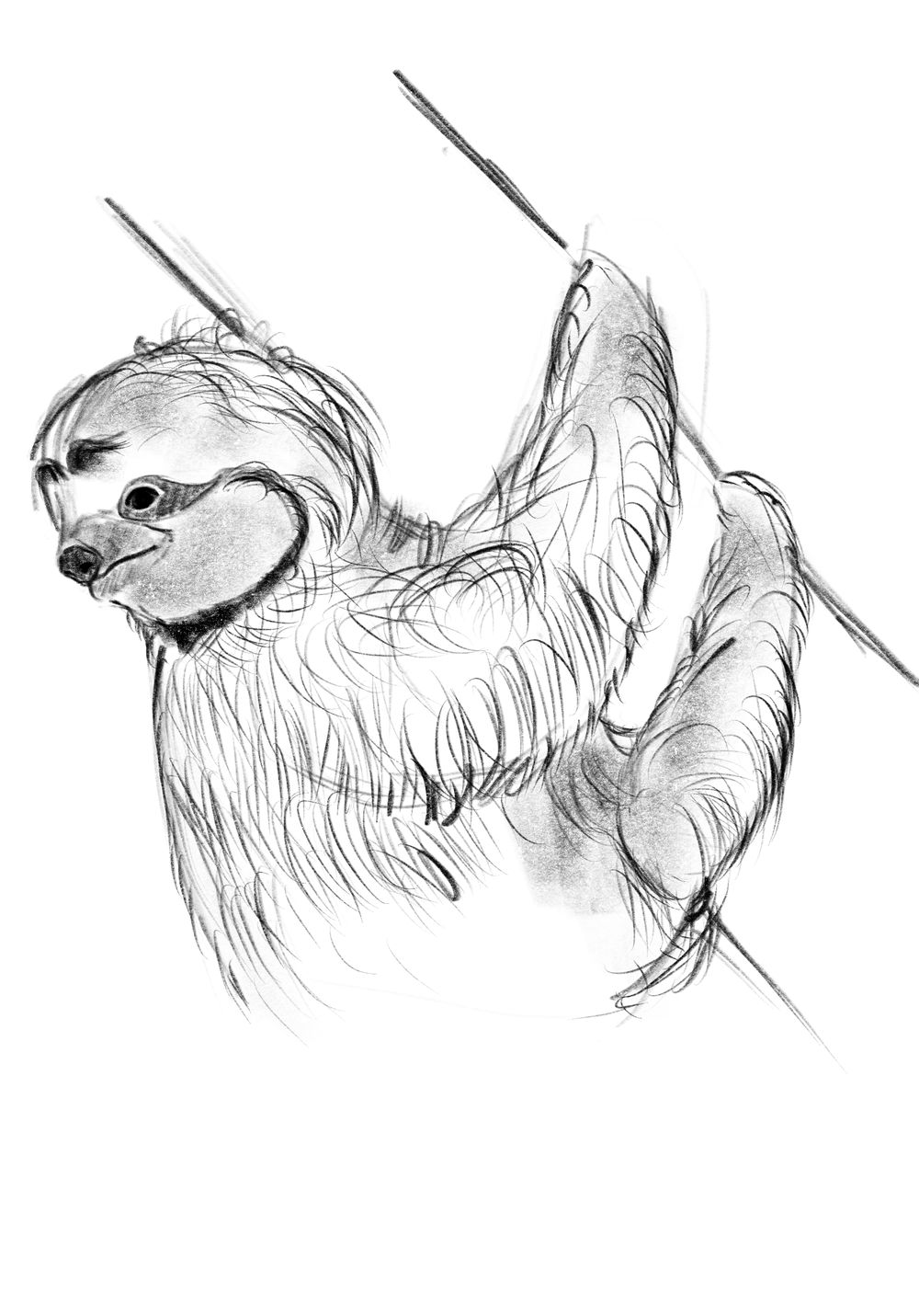 Stylizing Sloths + Style Challenge - image 4 - student project