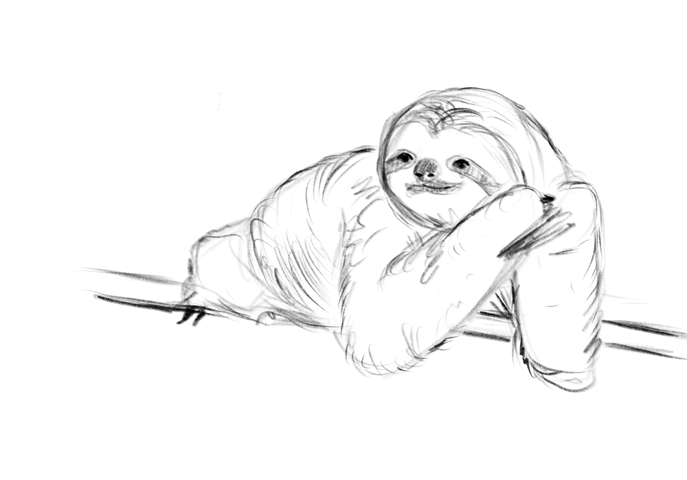 Stylizing Sloths + Style Challenge - image 2 - student project