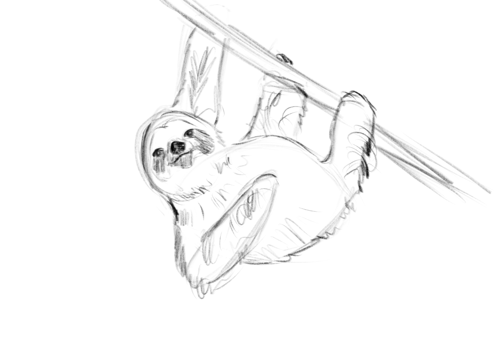 Stylizing Sloths + Style Challenge - image 1 - student project