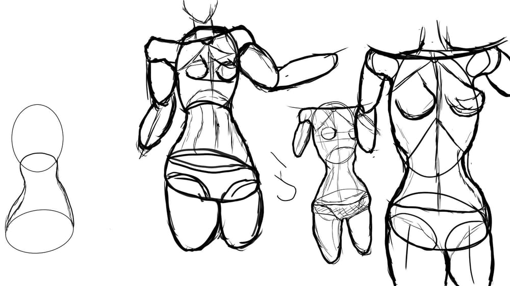 Torso Anatomy - image 1 - student project