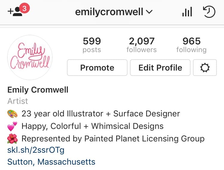 Emily Cromwell's Instagram Class Project - image 7 - student project
