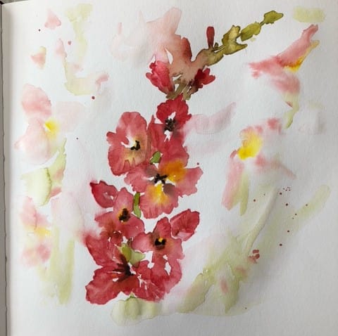 Gladiolus - image 1 - student project