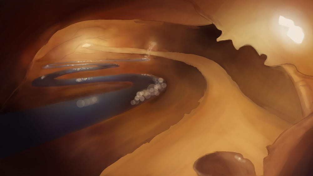 Hidden Cave Flower - image 2 - student project