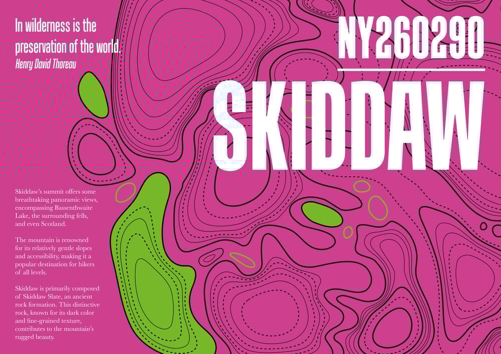 Contemporary Peaks: a modern topographic identity - image 3 - student project