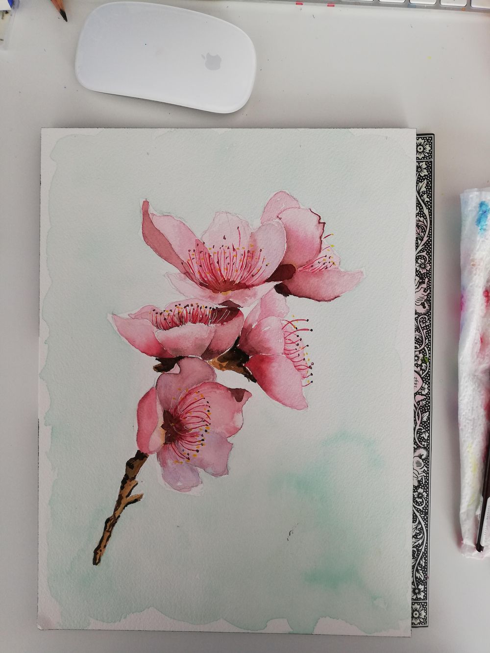 Cherry blossom - image 1 - student project