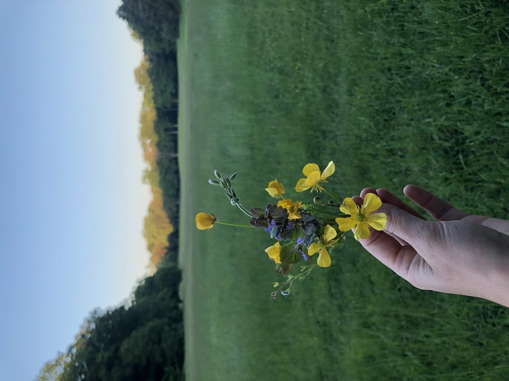 fearless backrgrounds - image 1 - student project
