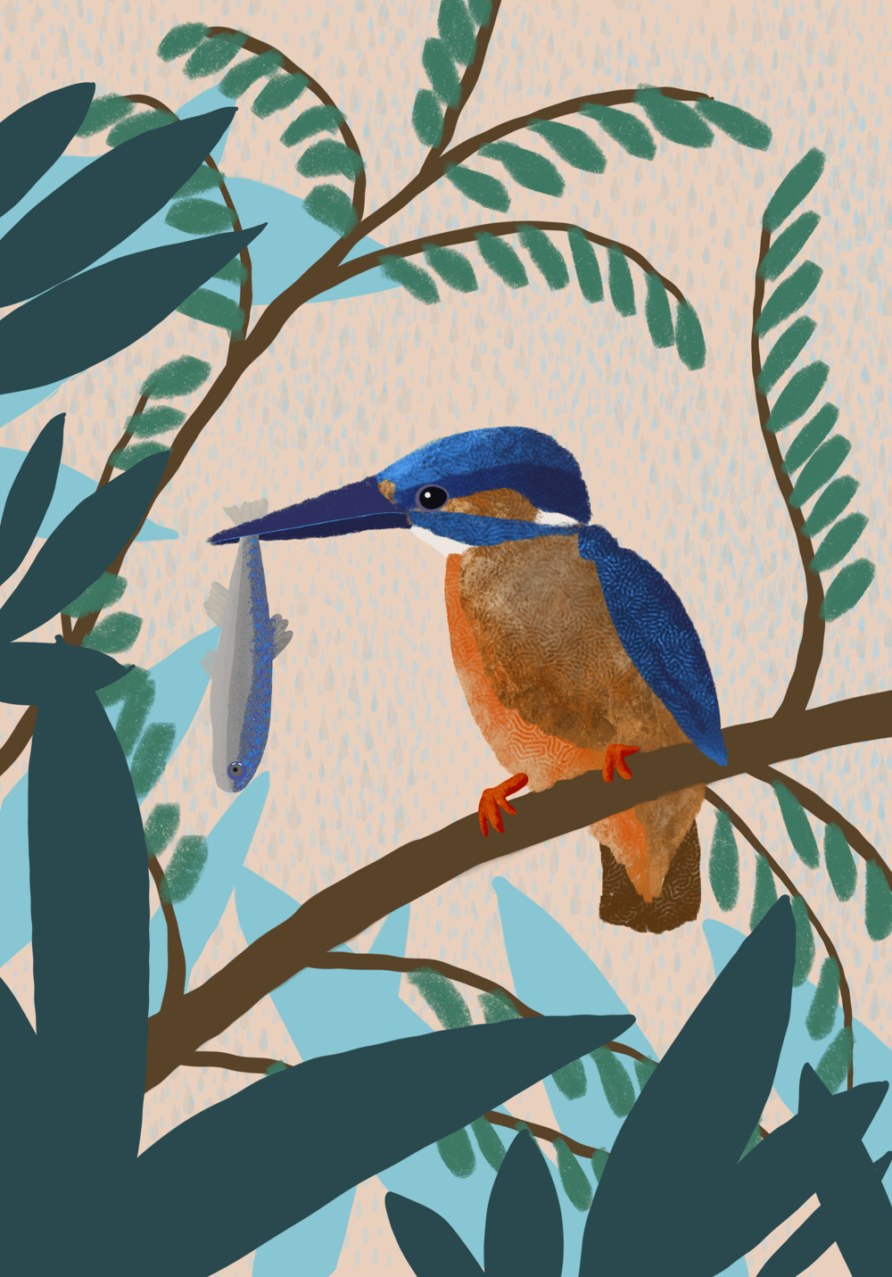 Kingfisher's lunch - image 3 - student project