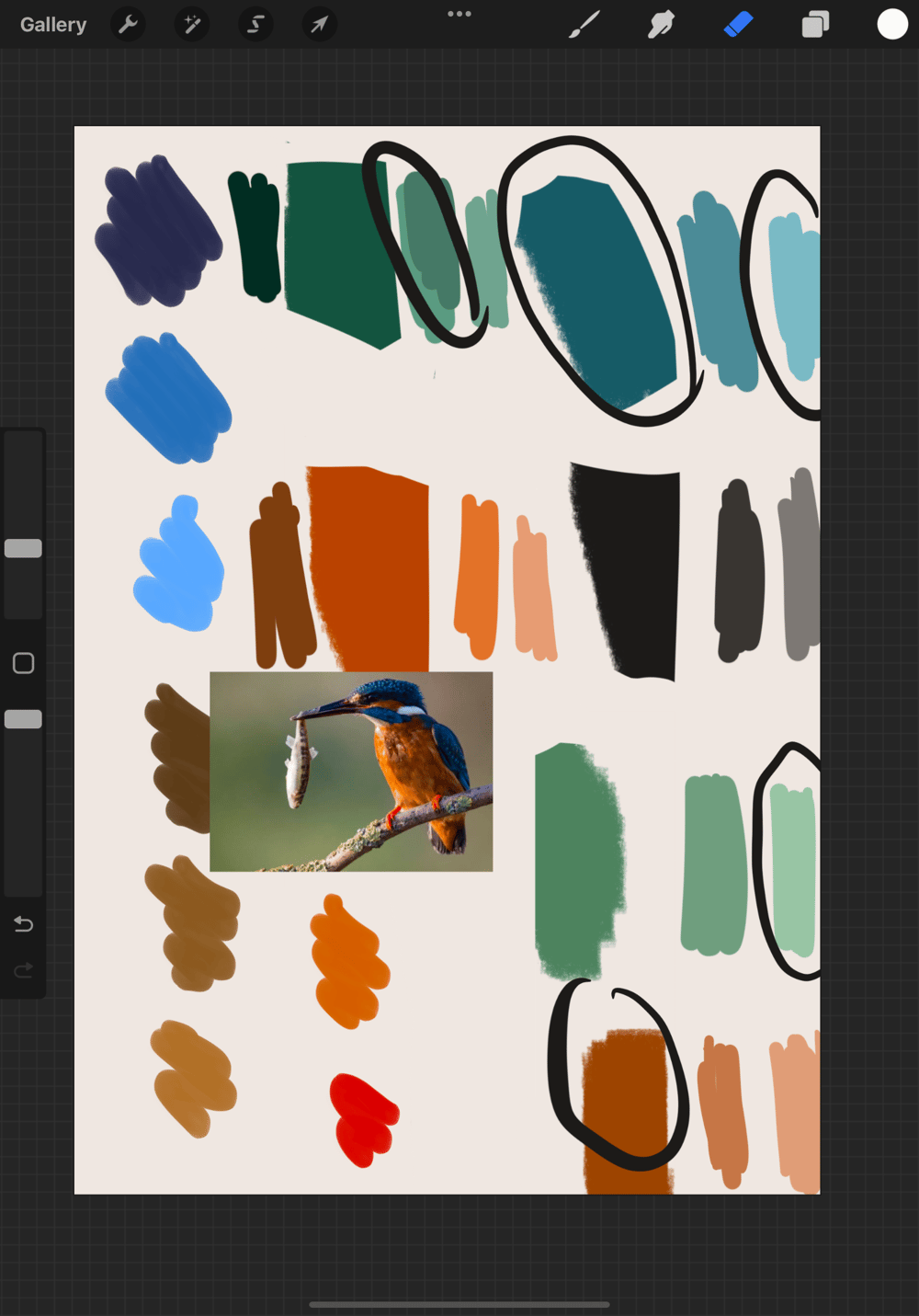 Kingfisher's lunch - image 2 - student project