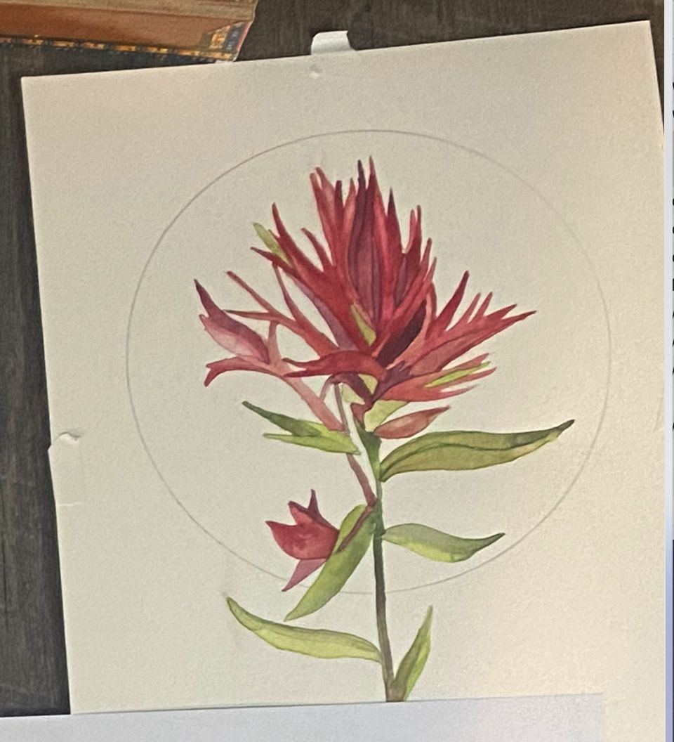 Digitizing Watercolor and Ink - image 1 - student project