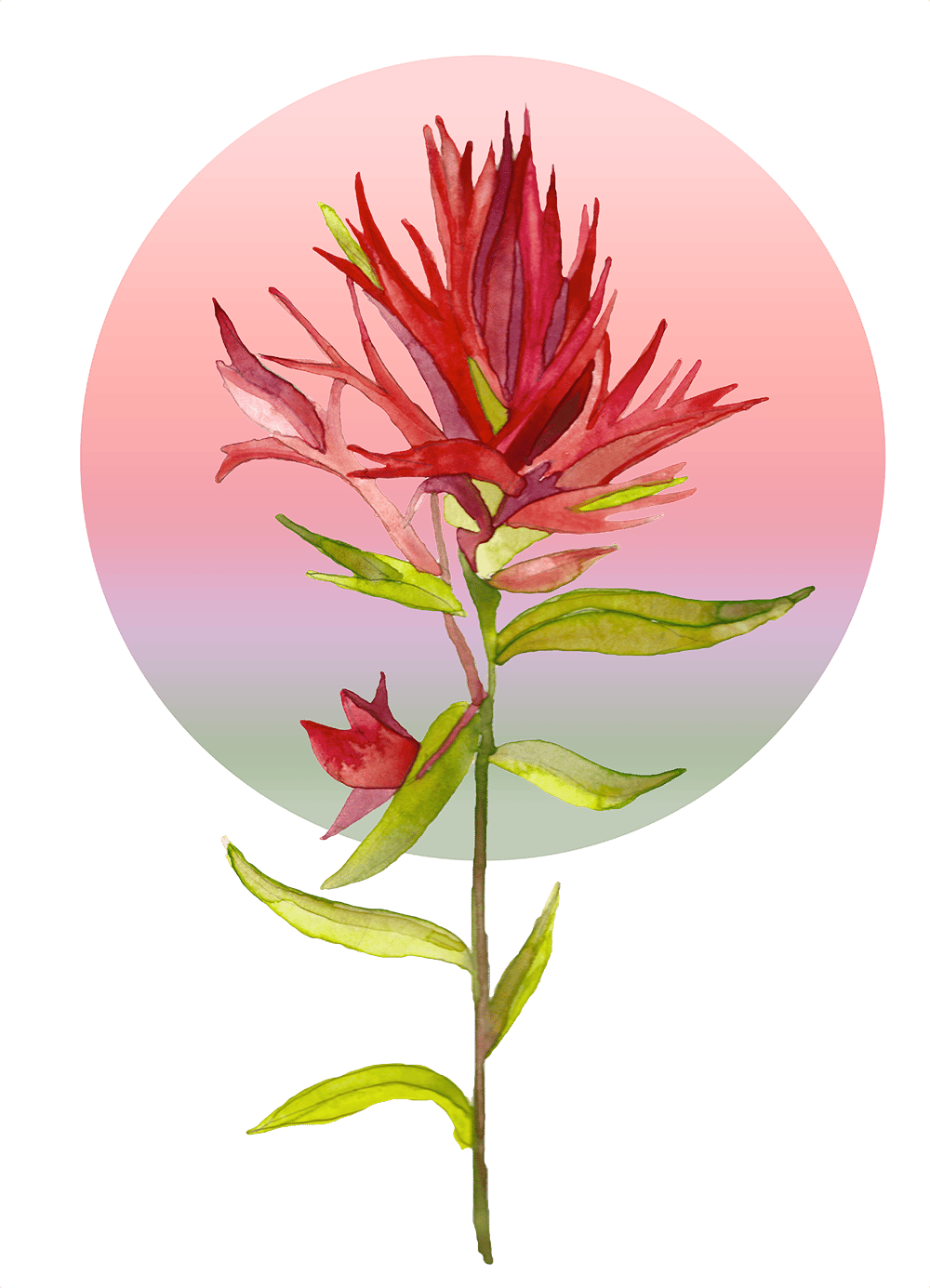 Digitizing Watercolor and Ink - image 3 - student project