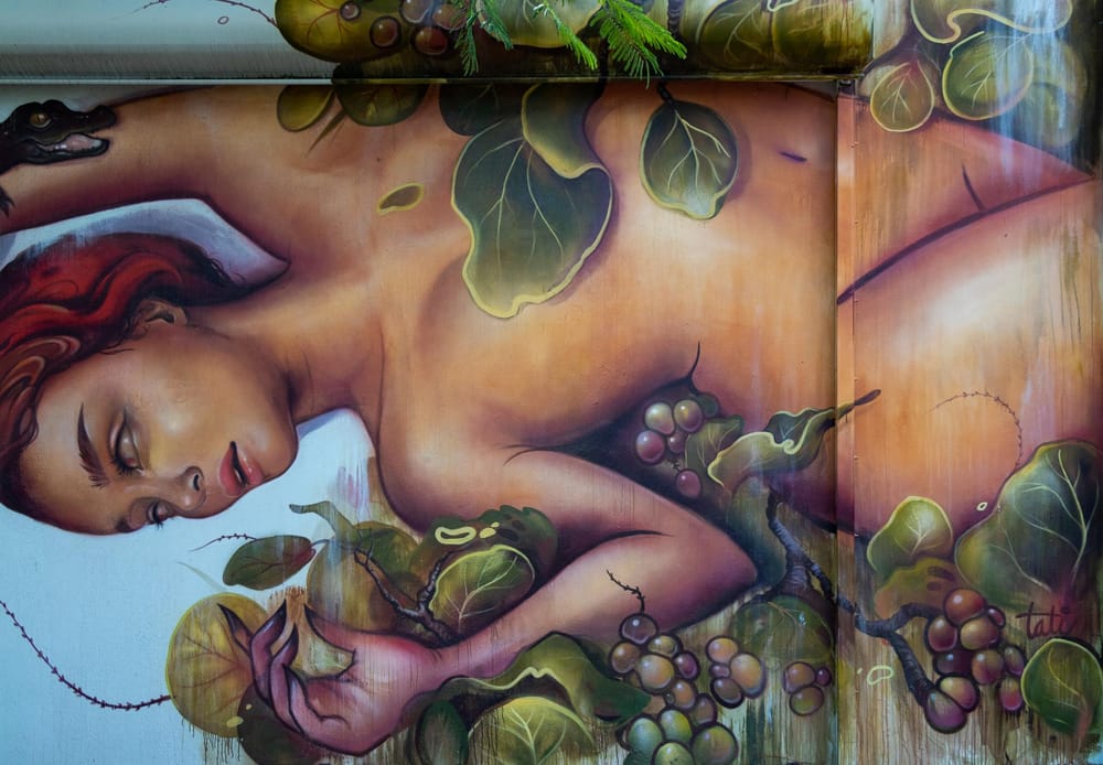 Wynwood Murals, Miami Florida - image 1 - student project