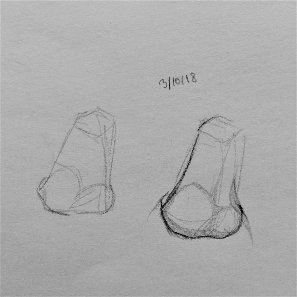 Nose Studies! - image 3 - student project