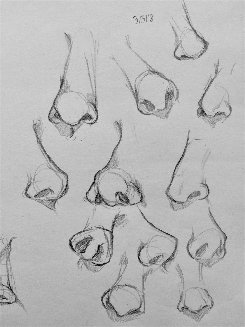 Nose Studies! - image 5 - student project