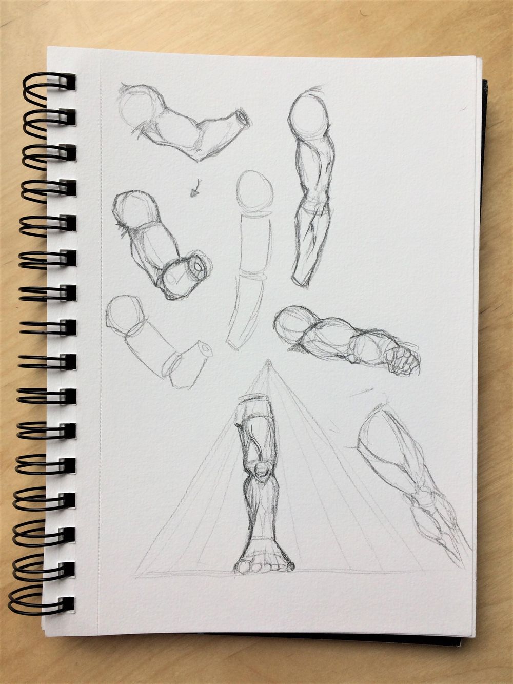 Figure Studies - image 5 - student project