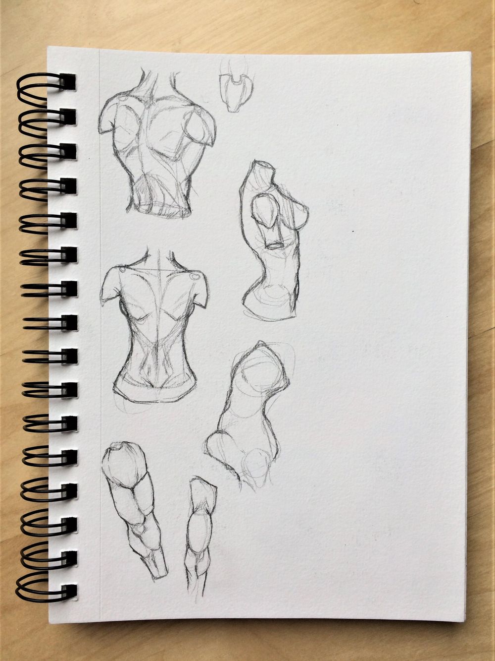 Figure Studies - image 4 - student project