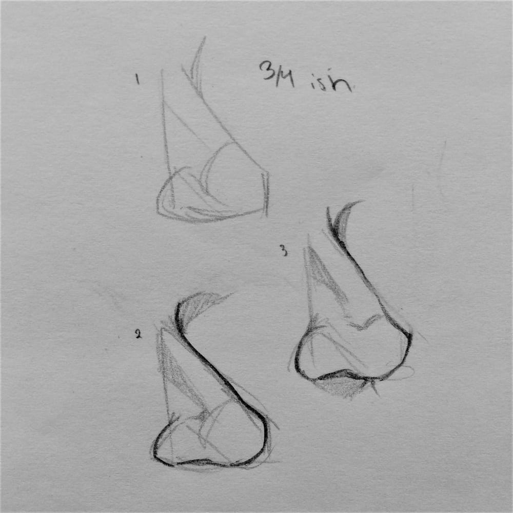 Nose Studies! - image 2 - student project