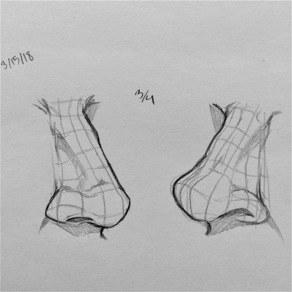 Nose Studies! - image 4 - student project