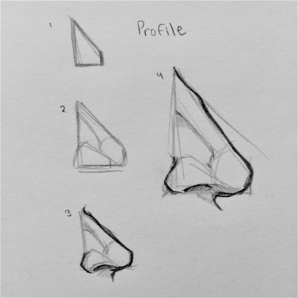 Nose Studies! - image 1 - student project
