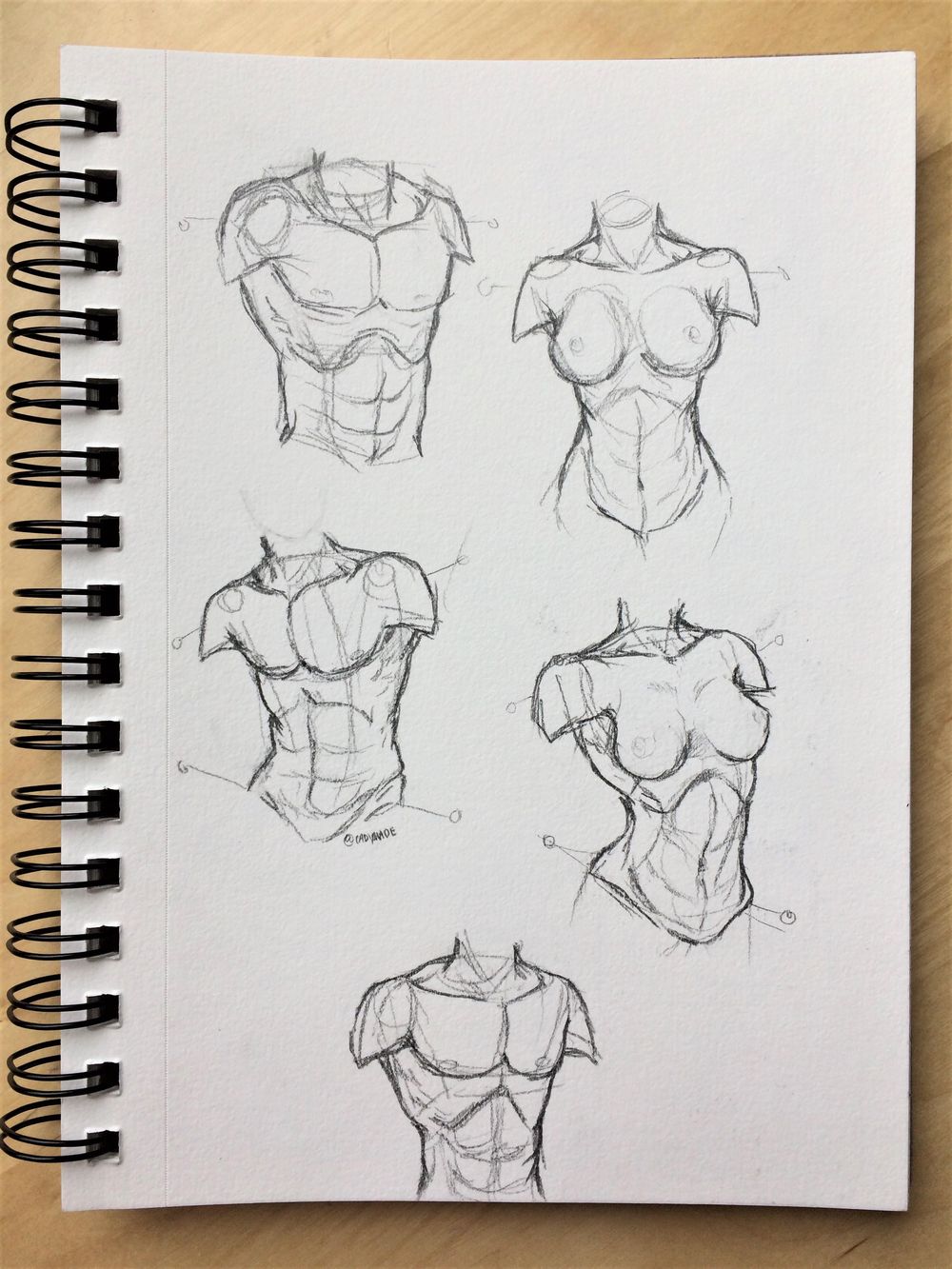 Figure Studies - image 3 - student project