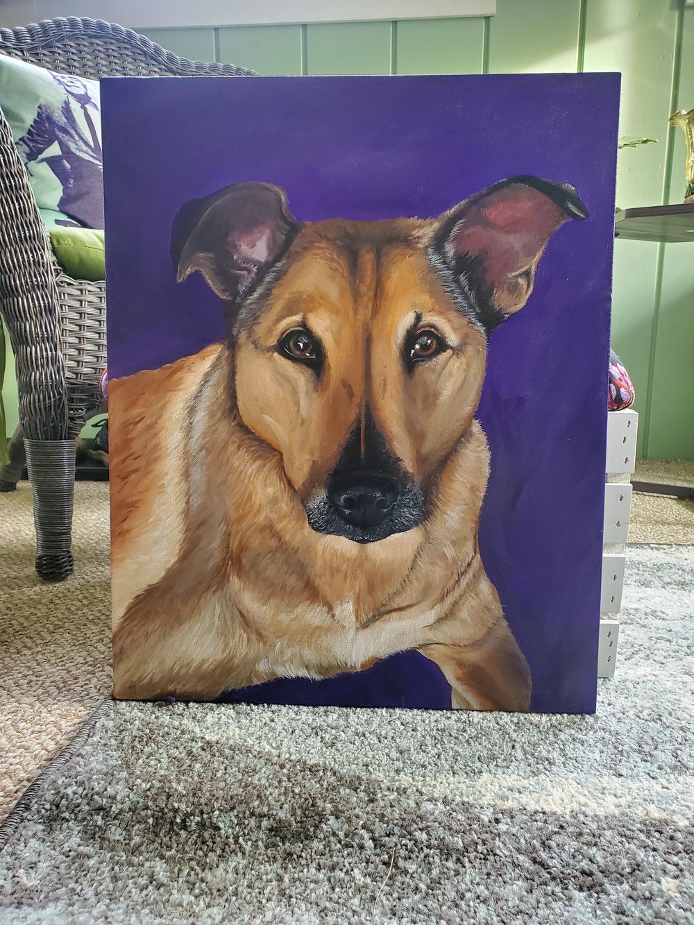 Dog portrait! - image 1 - student project