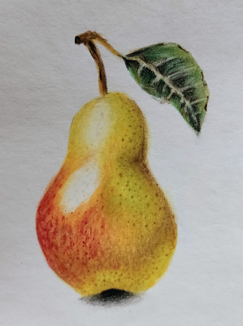 Project - Colored pencils - image 1 - student project