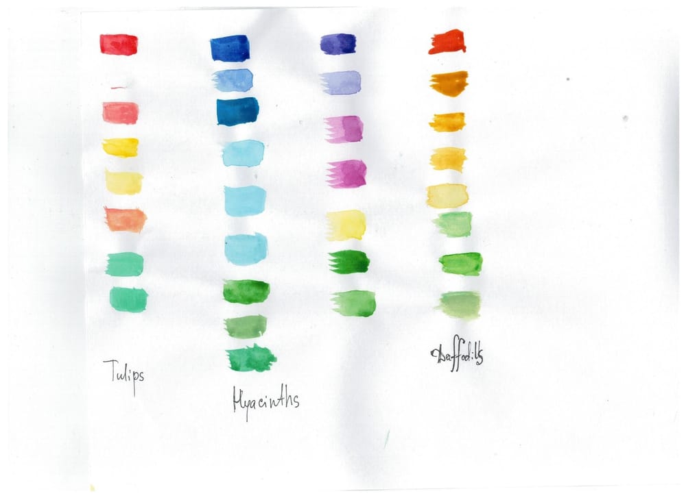 Watercolor daffodils - image 2 - student project