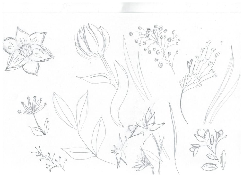 Watercolor daffodils - image 3 - student project