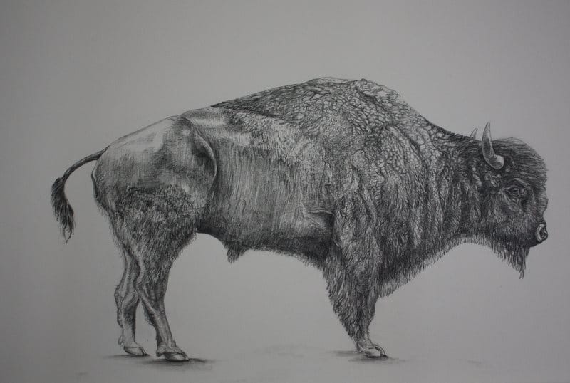 Artist Bio- Sarah J Loecker - image 1 - student project