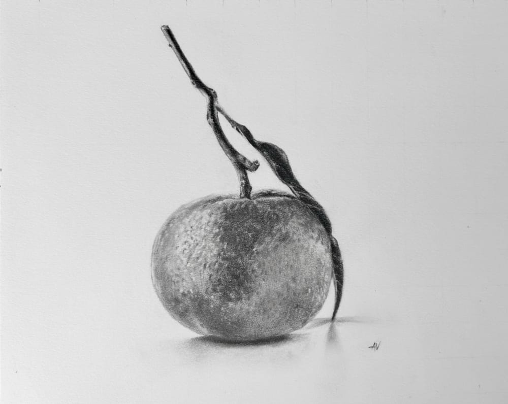 Realistic Sketch - Graphite - image 1 - student project