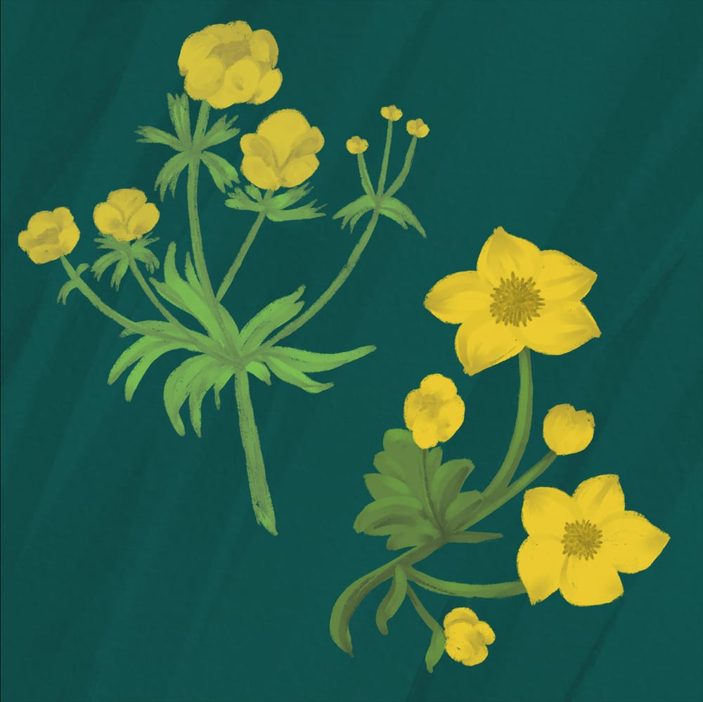 Guache florals - image 1 - student project