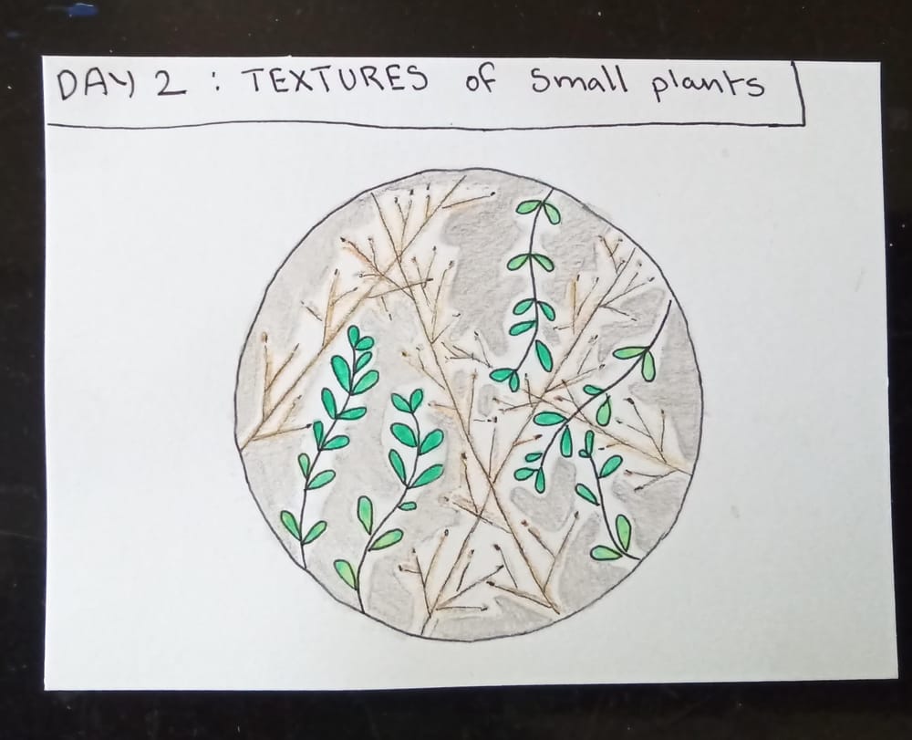 nature journal challenge - image 2 - student project