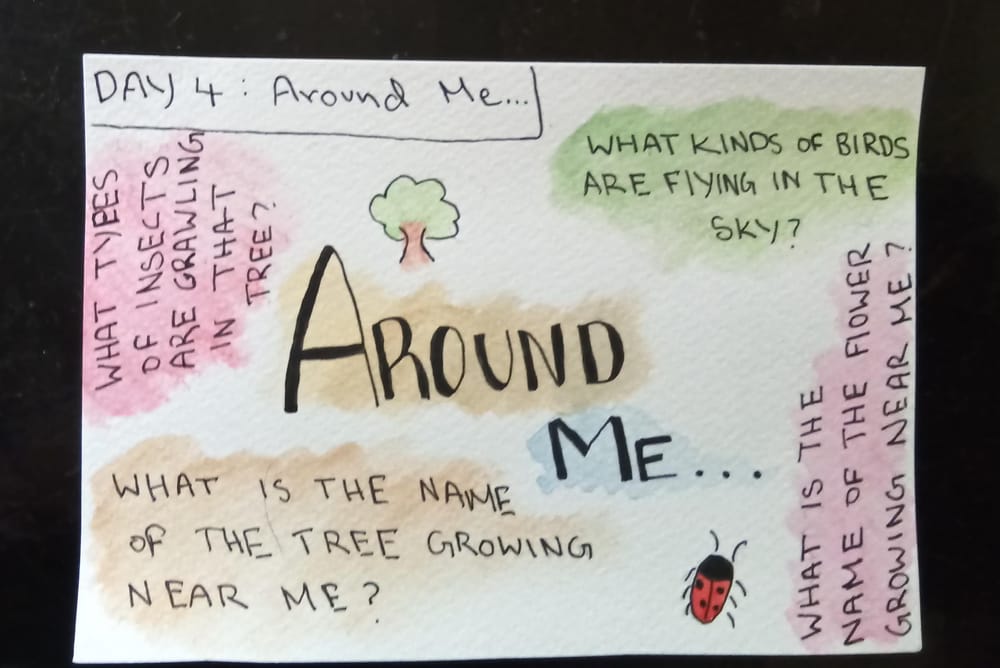 nature journal challenge - image 4 - student project