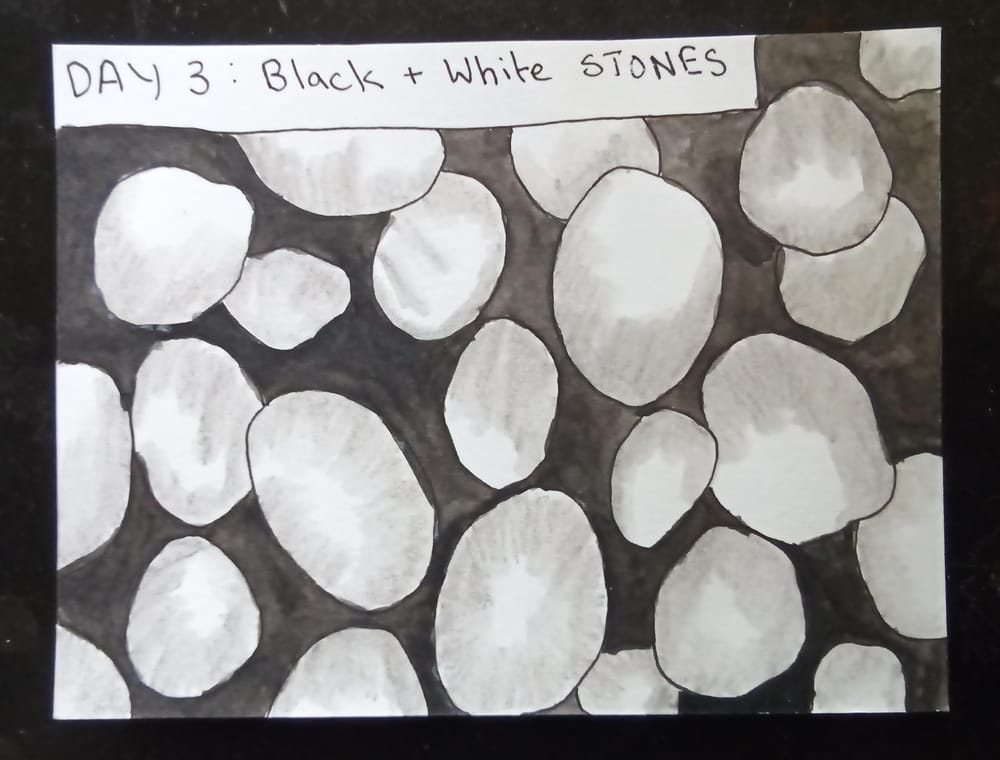 nature journal challenge - image 3 - student project